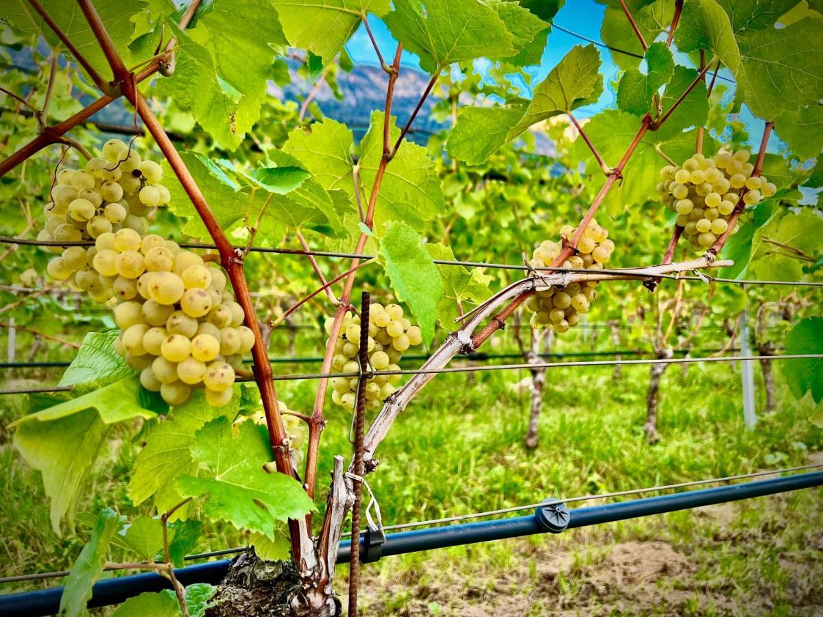 Appartamento Strahlerhof Appiano Sulla Strada Del Vino Esterno foto