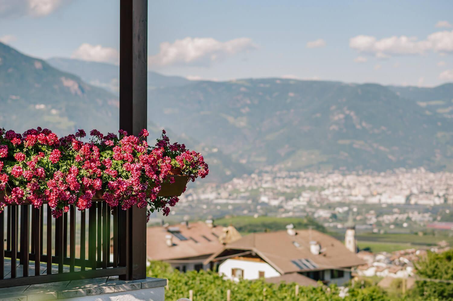 Appartamento Strahlerhof Appiano Sulla Strada Del Vino Esterno foto