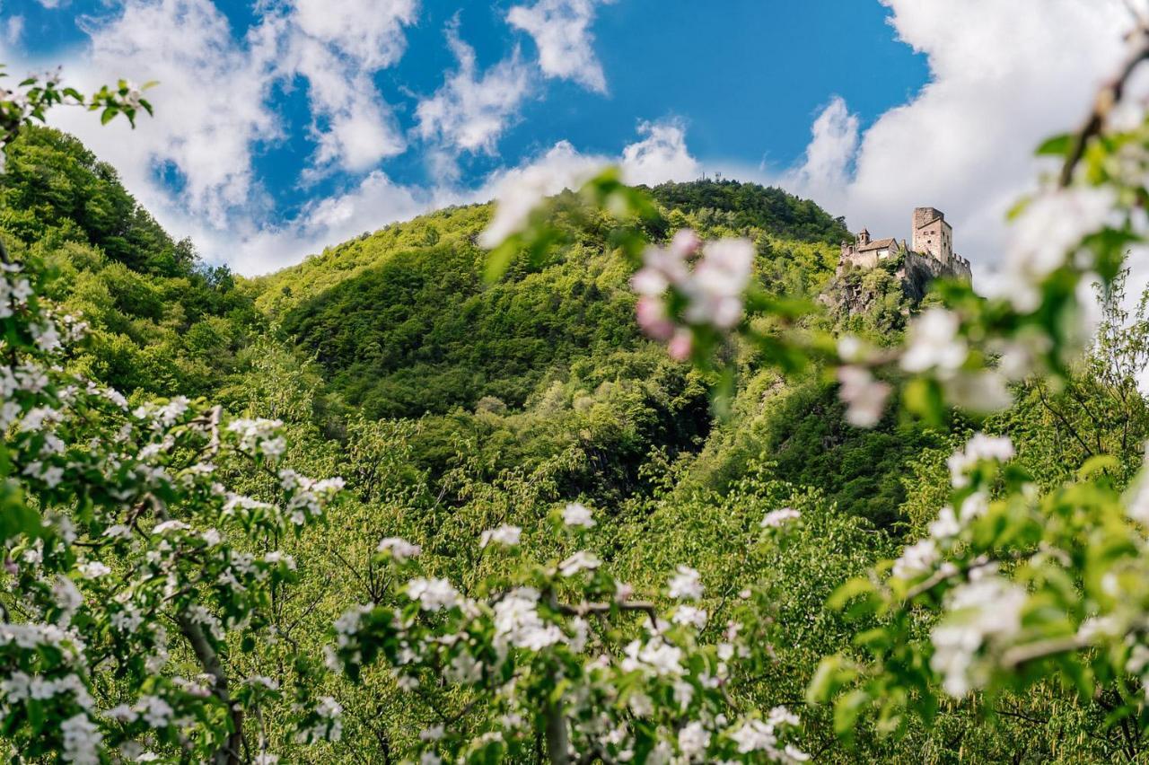 Appartamento Strahlerhof Appiano Sulla Strada Del Vino Esterno foto